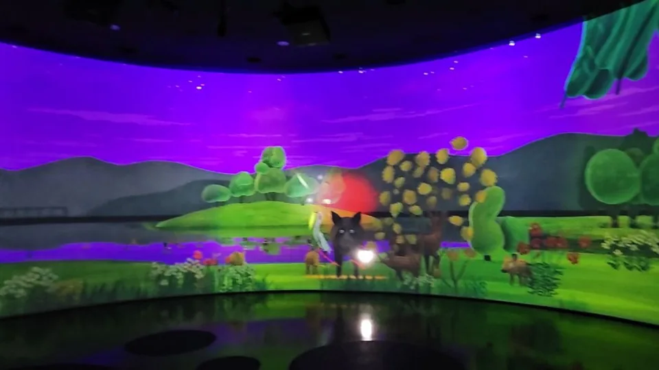 Bird Museum 외주 개발 실제 이미지